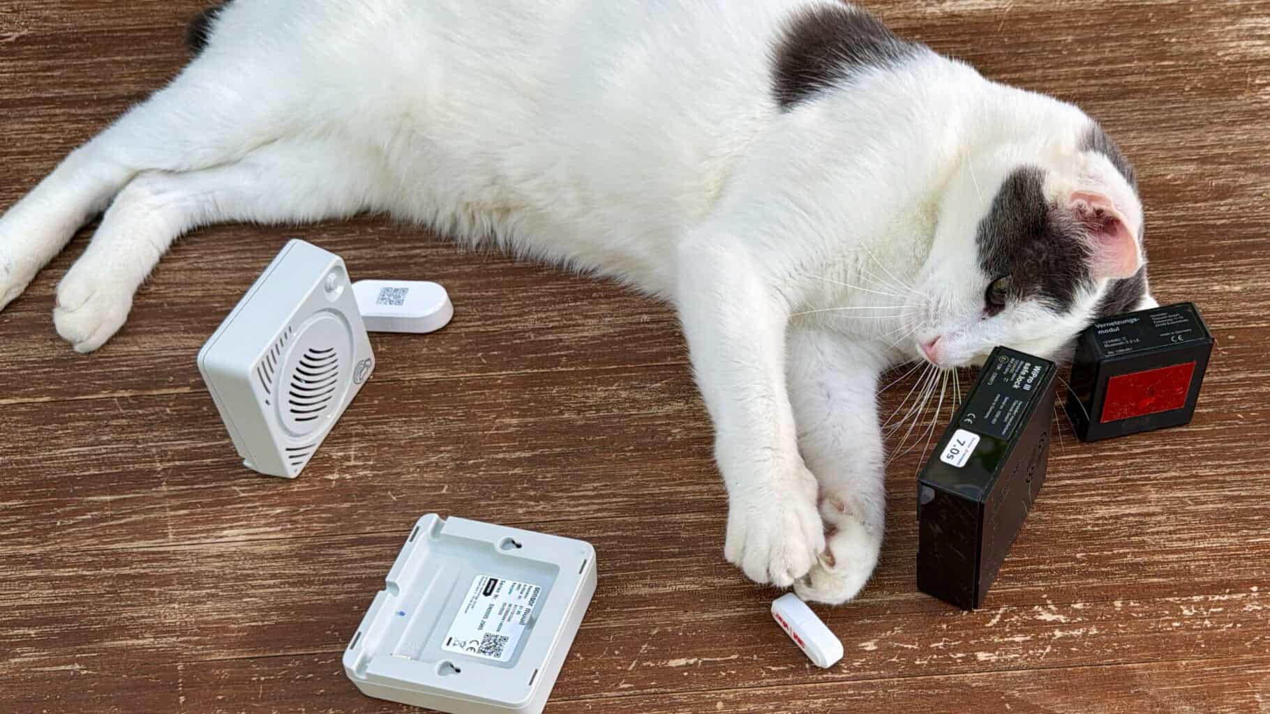 Alarmanlage Thitronik WiproIII und sonsor im Wohnmobil Spielerei mit Katze , Alarmanlage Thitronik WiproIII und sonsor im Wohnmobil Spielerei mit Katze