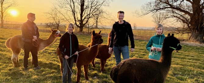, Alpacacamping Alpakas on Tour Familyfoto Titel