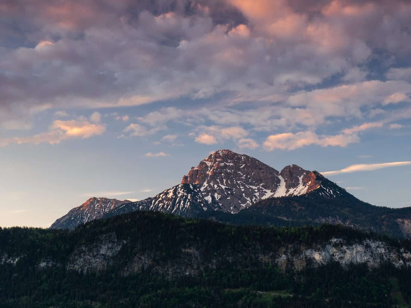 OLYMPUS DIGITAL CAMERA , OLYMPUS DIGITAL CAMERA