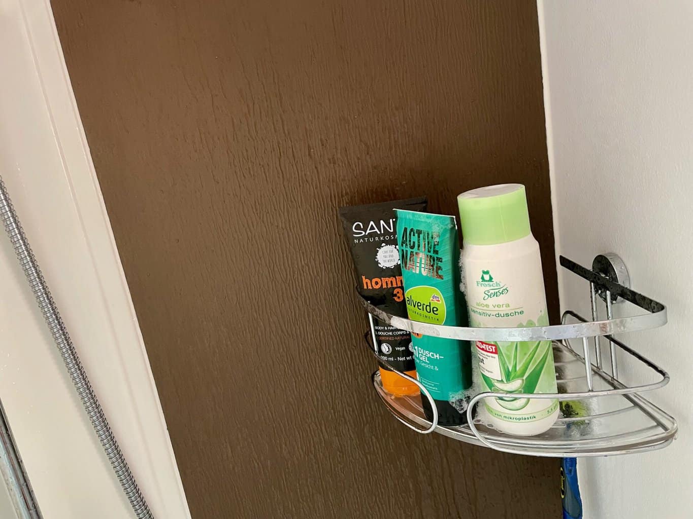, Bestes Duschgel Shampoo Frosch Senses Sante Homme Alverde Active Nature Test im Wohnmobil