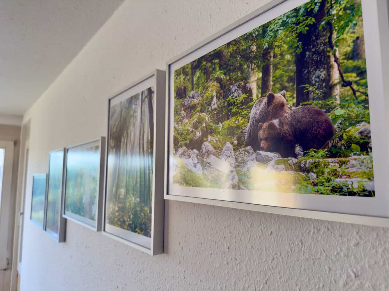 Bilder an der Wand , Bilder an der Wand