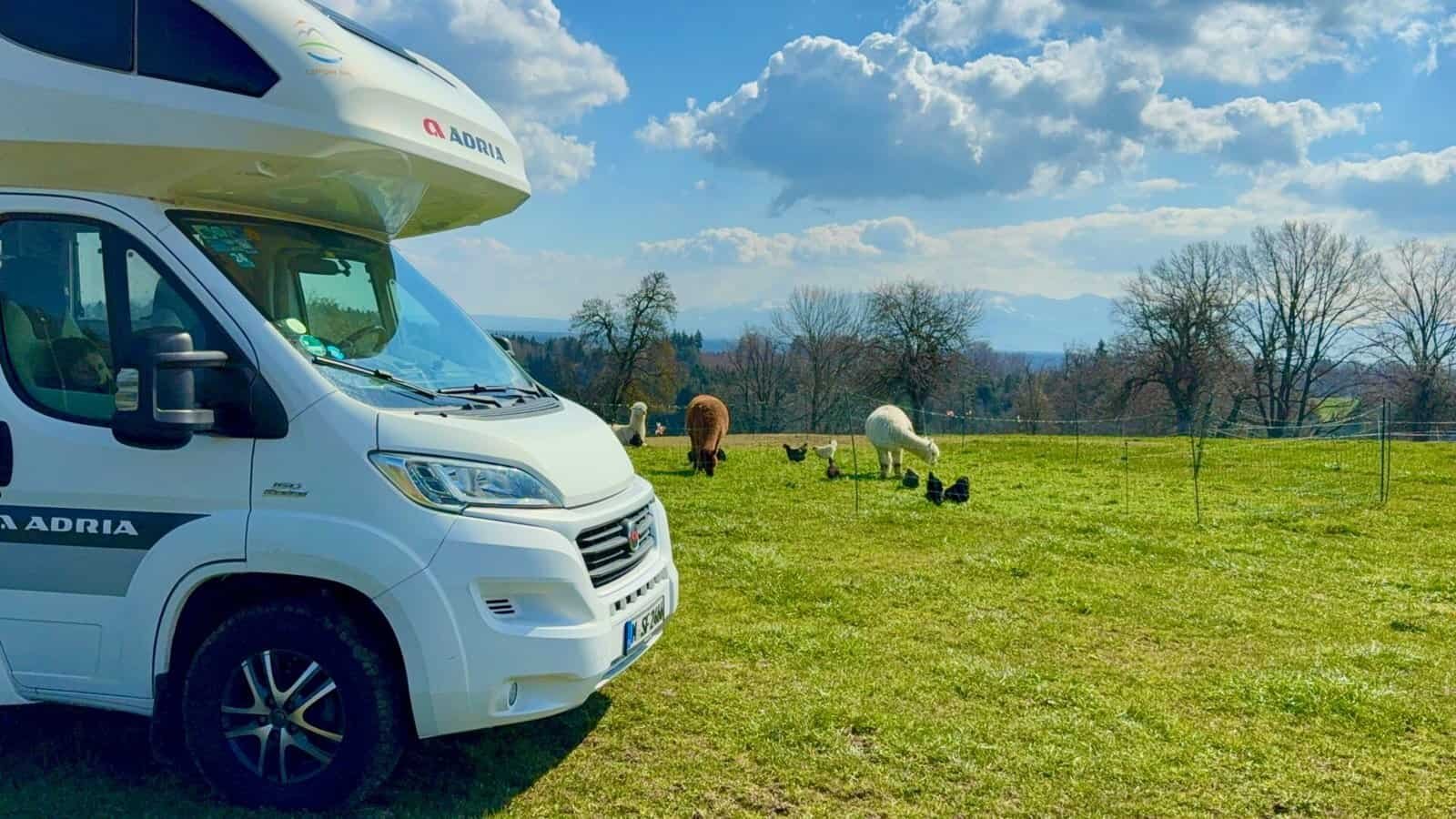 Billerhof AlpacaCamping Naturnahes Camping , Billerhof AlpacaCamping Naturnahes Camping
