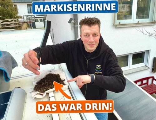 Fugenbürste – Der kleine Geheimtipp, der Schmutzecken wirklich knackt