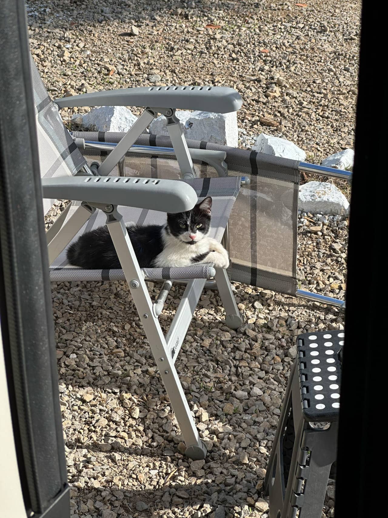 Marokko Katze auf Campingstuhl , Marokko Katze auf Campingstuhl