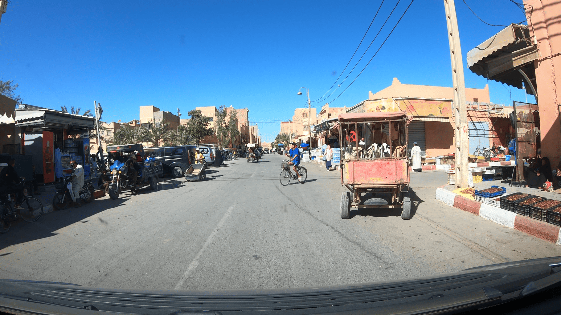 Marokko Schaftransport Stadt , Marokko Schaftransport Stadt