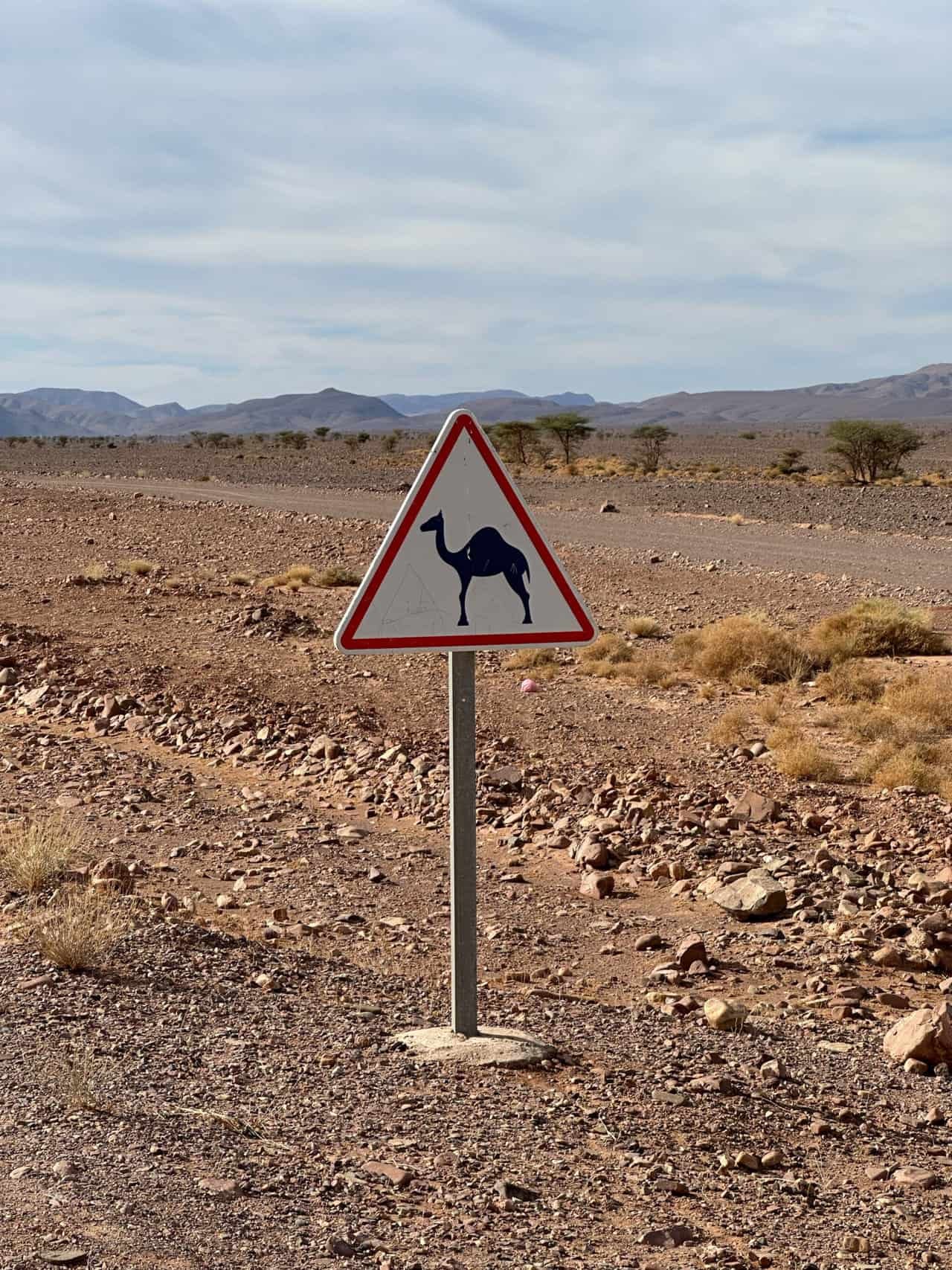 Marokko Schild Vorsicht Kamele Dromedare , Marokko Schild Vorsicht Kamele Dromedare