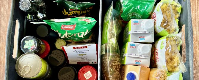 Meori-Faltbox-L-Organizer-für-Einkäufe-ideal