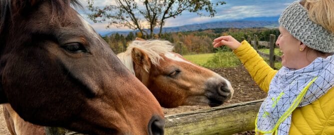 , Pferde am Bauernhopf und Sophie