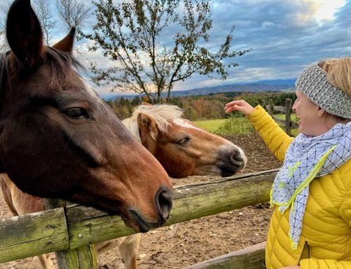 Neuheiten Landvergnügen 2026 – Deutschland – Österreich – Schweiz
