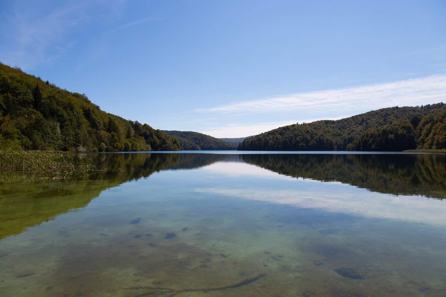 See mit Wald in Symmetrie , See mit Wald in Symmetrie