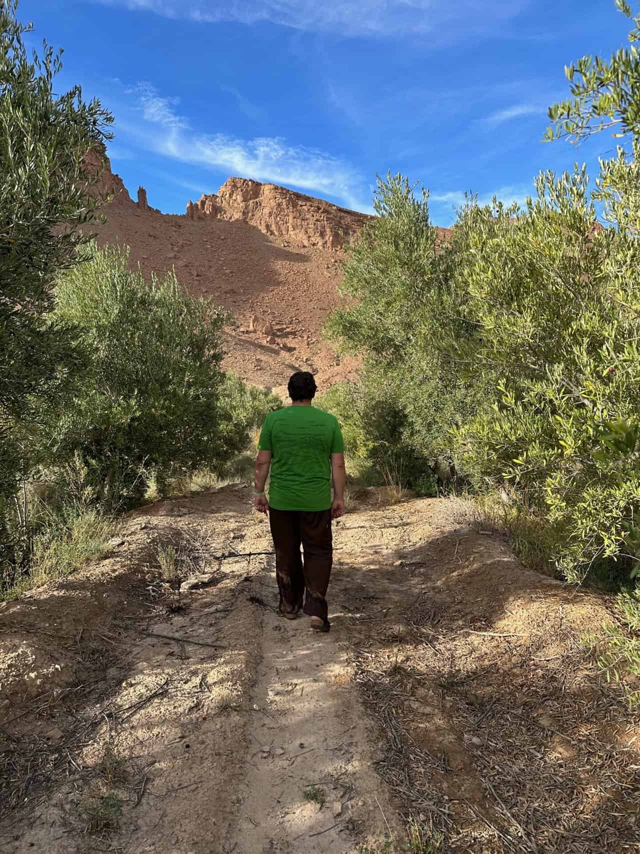 Spaziergang in Oase , Spaziergang in Oase