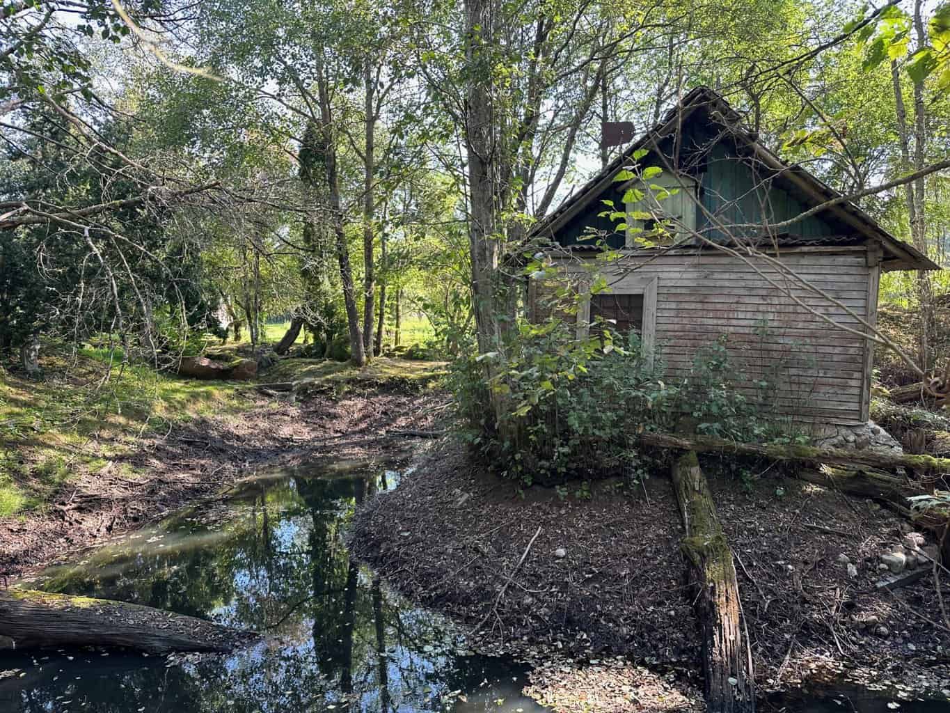 , Streulicht abgeschirmt mit Hand