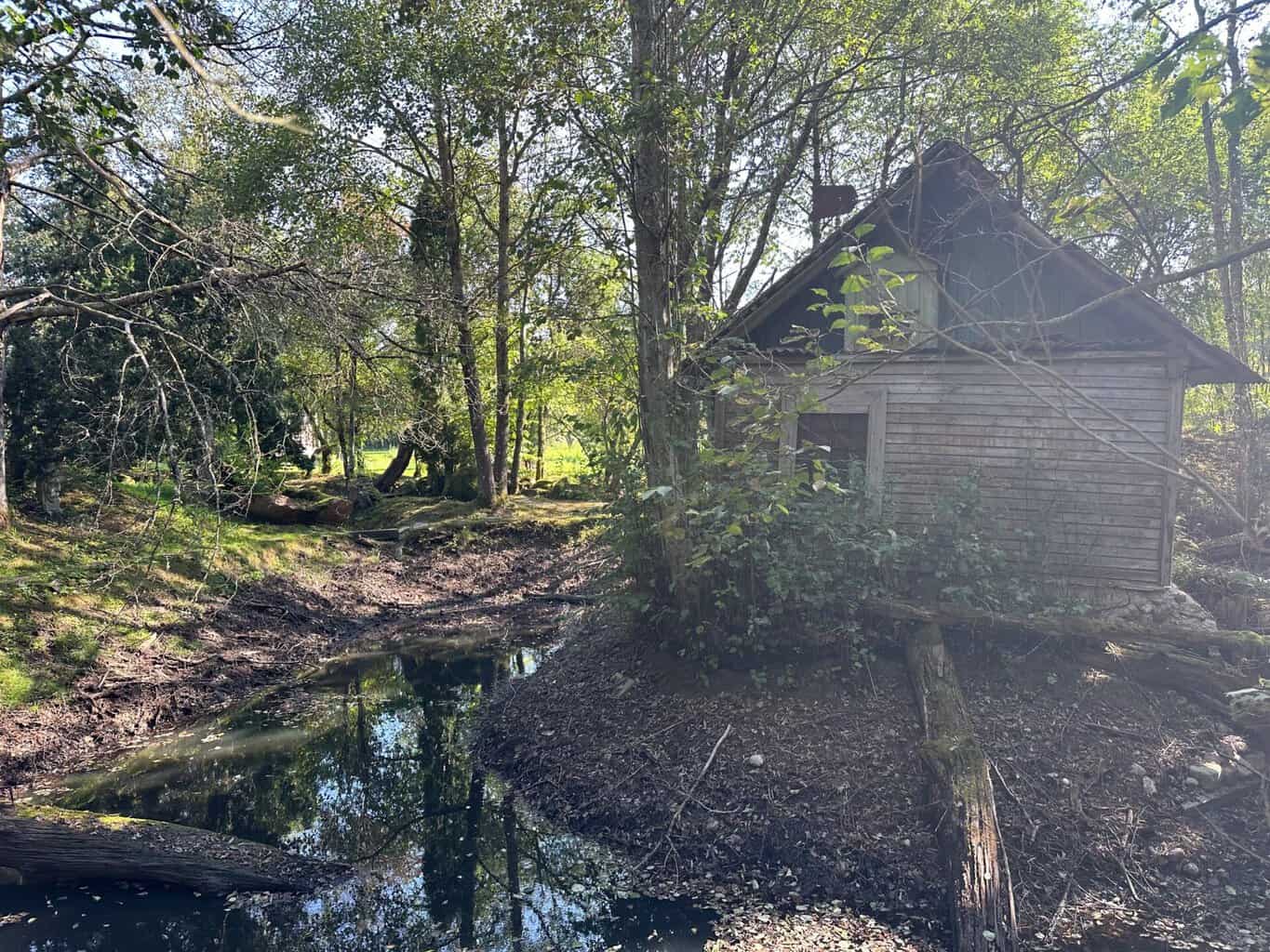 , Streulicht auf Bild