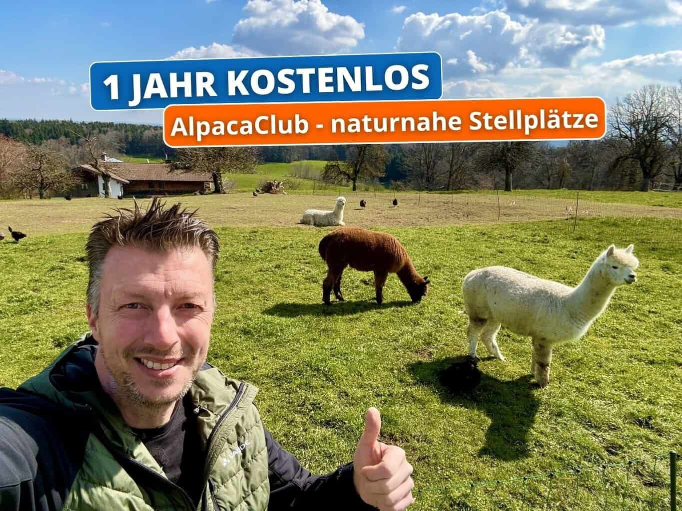 , alpaca camping 1600 1200